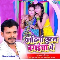 Odhani Chhutal Bagaicha Me