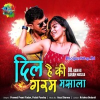 Dil Hain Ki Garam Masala