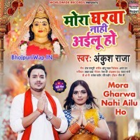 Mora Gahrwa Nahi Ailu Ho
