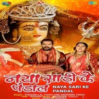 Naya Saari Ke Pandal