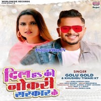 Dil Ha Ki Nokari Sarkar Ke