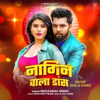 Nagin Wala Dance