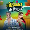 Mohabbat Ke Shikar
