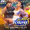 Hamar Jila Hara Nhi Hai