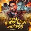 Dahare Hamaar Jila Bagh Jaise