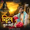 Dil Ka Bura Nahi Hoon