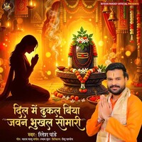 Dil Me Dhukal Biya Jawan Bhukhal Somari