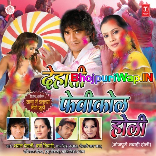 Dehati Fevicol Holi