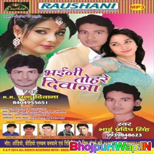 Bhaini Tohare Diwana