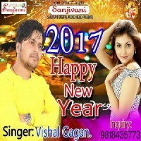 2017 Happy New Year