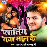 Planning Naya Saal Ke