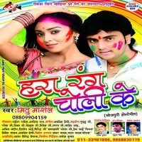 Hara Rang Choli Ke