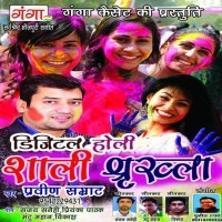 Digital Holi Shali Shrinkhala
