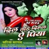 Dil Tor Dihale Ae Piya