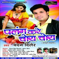 Palang Kare Choye Choye (Chandan Diler)