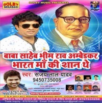 Babasaheb Bhimrao Ambedkar Bharat Maa Ki Shan The