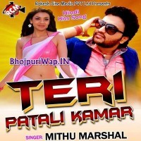 Teri Patali Kamar