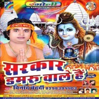 Sarkar Damru Wale Hain
