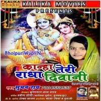 Kanha Teri Radha Deewani