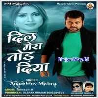 Dil Mera Tor Diya