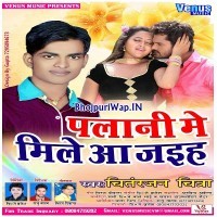 Palani Me Mile Aa Jaiha (Chitranjan Chitra)