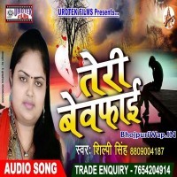 Teri Bewafai