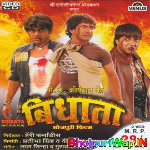 Vidhata
