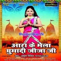 Aara Ke Mela Ghumadi Jija Ji