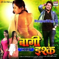 Baghi Ishq