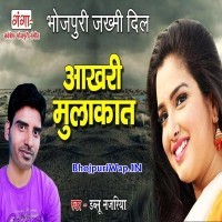 Aakhari Ha Jaan Mulakat Ho (W Nazariya)