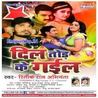 Dil Tod Ke Gail