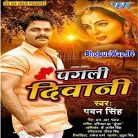 Pagali Deewani