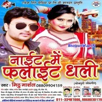 Night Me Flight Dhali (Mithu Marshal)
