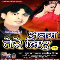 Sanam Tere Liye