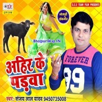 Ahir Ke Padwa