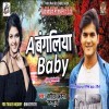 A Bangaliya Baby Bol Na Kab Debi