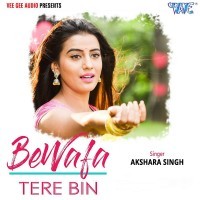 Bewafa Tere Bin
