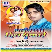Aail 2018 Dil Pukare