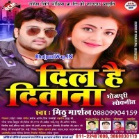 Dil Hai Diwana