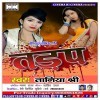 Kismat Dihale Ba Daga Bewafa Naikhi Hum