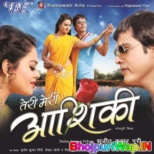 Teri Meri Aashiqui