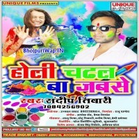 Holi Chadhal Ba Jabse