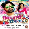 Pichkari Rowata Fagun Me Laga Na Dilwa