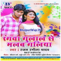 Rangwa Gulal Se Malab Gailiya