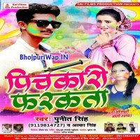 Pichkari Farkata