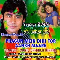 Phagun Mein Didi Tor Aankh Maare