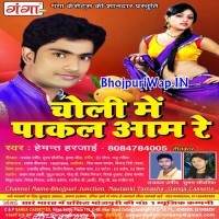 Choli Me Pakal Aam Re