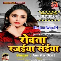 Rowata Rajaiya Saiya (Amrita Dixit)