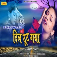 Dil Tut Gaya (Amrita Dixit)