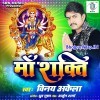 Chandi Ke Rasariya Mein Sone Ke Palnawa Ho
